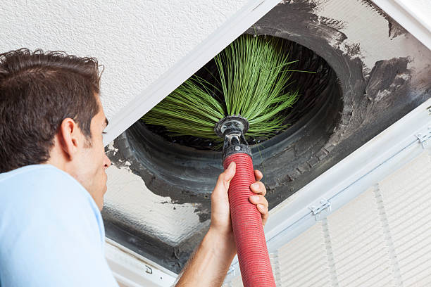 Best Air Duct Cleaning Near Me  in Warren, MI